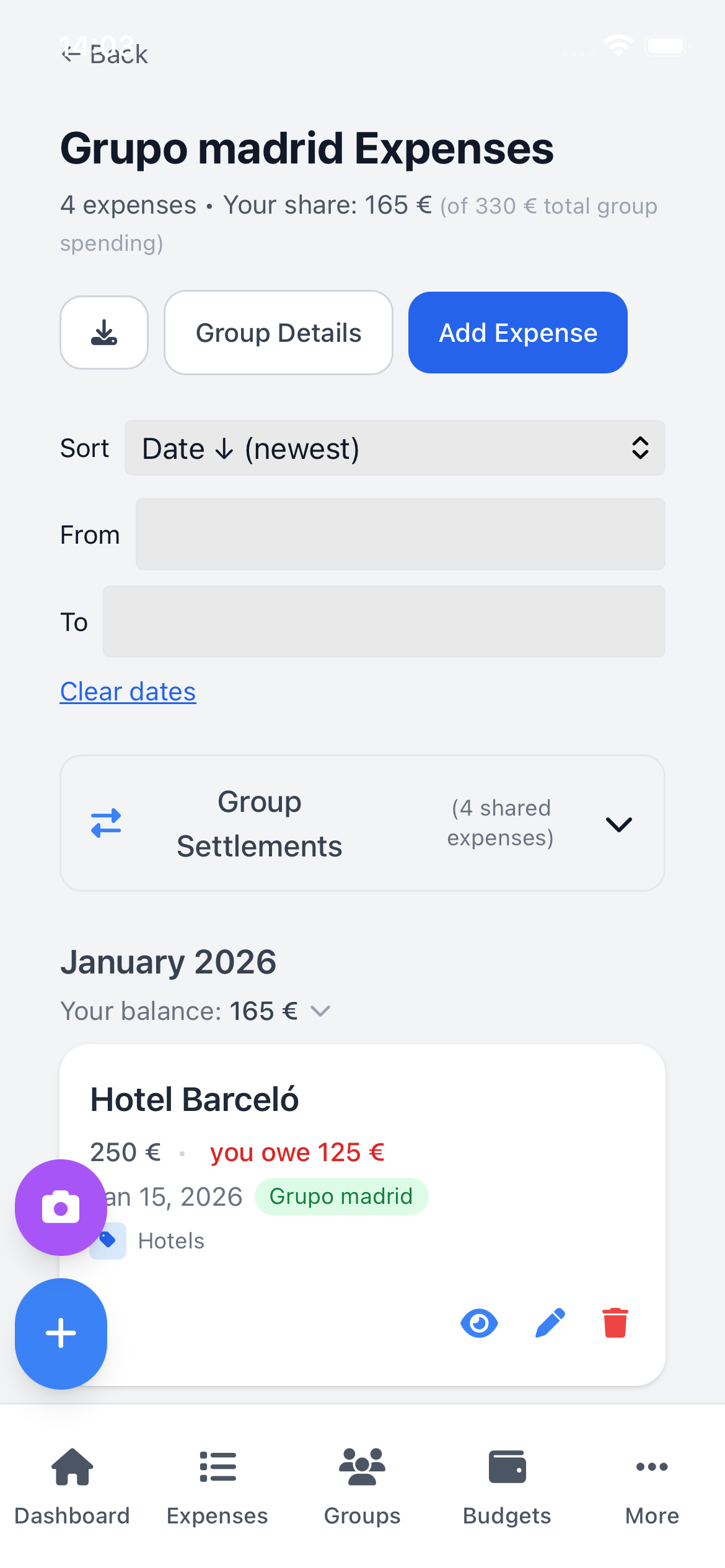 Group travel expenses showing who owes whom