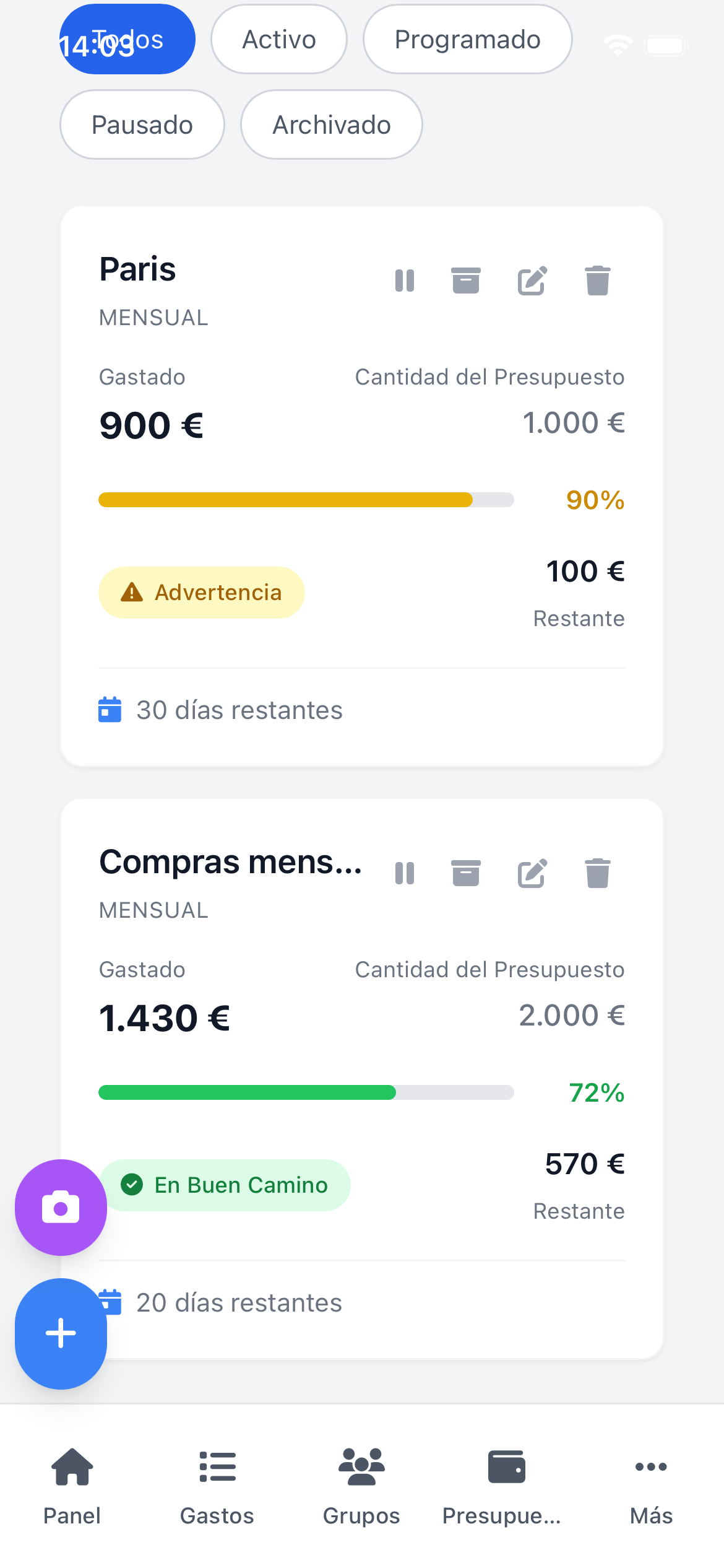 Panel de Presupuestos